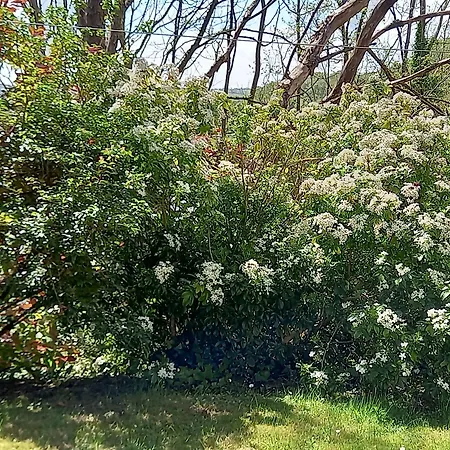 Ardsallagh לינה וארוחת בוקר