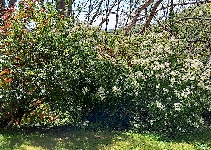 Ardsallagh Bed & Breakfast